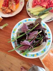 baş aşbaz: Женщина, 40 лет, 3-5 лет опыта