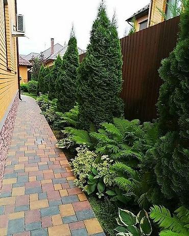 Спил деревьев, заготовка дров: Компания Green Scape предлагает широкий спектр услуг по — 18