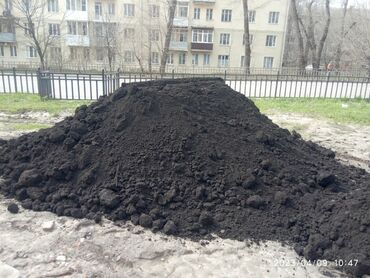 Bağ və bostan üçün digər məhsullar: Məhsul: Təbii peyin və qara torpaq (humus) Təsvir: - Kənd təsərrüfatı — 8