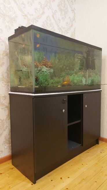 Akvariumlar: Dördbucaq akvarium, Boş, 175 l, Ünvandan götürmə — 9