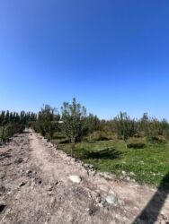 продаю участок чалдовар: 100 соток, Айыл чарба үчүн, Сатып алуу-сатуу келишими