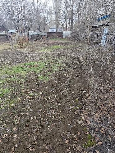 Продажа коттеджей и домов: Продается дом с участком . с.Ново Николаевка ул. Демьяна бедного 18 — 3