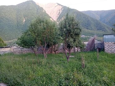 Həyət evləri və villaların satışı: 5 otaqlı, 1000 kv. m, Kredit yoxdur, Yeni təmirli — 9