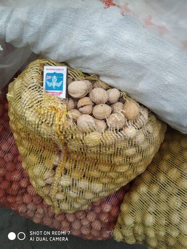 саженцы орехов: Продаю грецкие орехи оптом или меняю на саженцы сливы, персика