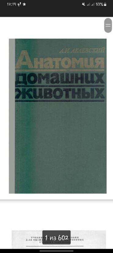 купить щенка восточно европейской овчарки: Куплю анатомию домашних животных Акаевского
