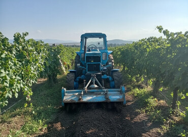 Traktorlar: Traktor Belarus (MTZ) 82, 1985 il, 82 at gücü, motor 4.7 l, İşlənmiş — 1