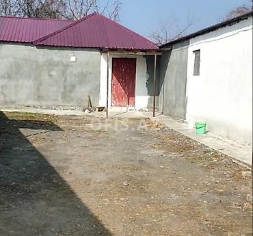 sumqayitda kiraye evler: Satış üçün: Tam avadanlıqlı toyuqçuluq-ferma obyekti Xüsusiyyətlər: - — 2