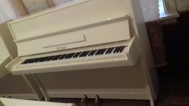 Musiqi alətləri: Pianino PETROF Cexya stehsalı. Ideal vəziyyədə. Cadırılma və köklənmə — 2