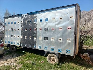 Прицепы и полуприцепы: Прицеп, Special trailer — 6