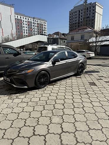 crown athlete: Toyota Camry: 2019 г., 2.5 л, Автомат, Бензин, Седан — 1