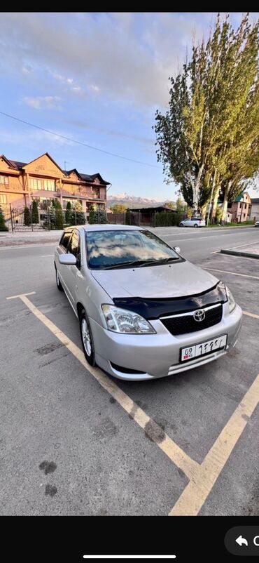 runx alex: Toyota Allex: 2004 г., 1.5 л, Автомат, Бензин, Хетчбек
