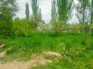 Продажа домов: Барачный, 93 м², 6 комнат, Собственник — 5