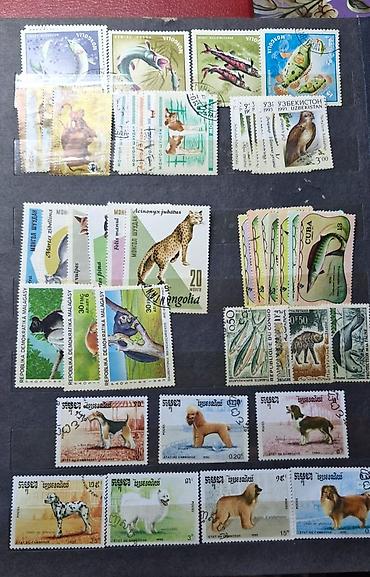 Марки: Коллекция почтовых марок с орнитологической и микологической — 10