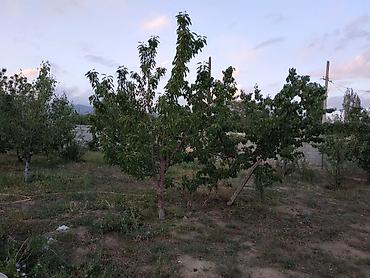 Продажа коттеджей и домов: 🏡 продаётся особняк в чолпон-ате! 🏡 📍 район семетей (выше поста гаи — 4