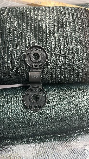 Other garden flower saplings & seedlings: Оптом и в розницу — 9