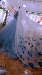 Ziyafət donları: Gəlinliklər satisdadi bir yerdə satilir 20 ədəddir KL gəlinniyidir! — 9