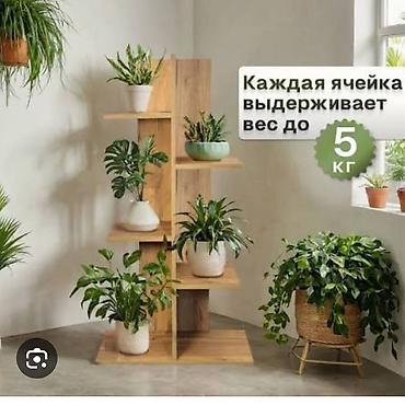 Полки, стеллажи: Книжная полка, Новый, ЛДСП, Напольная, Бесплатная доставка — 7