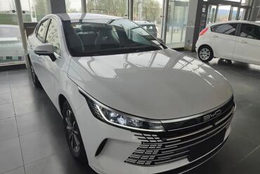 BYD: BYD : 1.5 l | 2024 il 55 km Sedan — 3