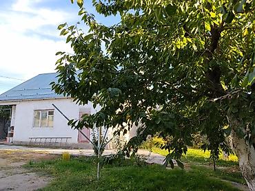 замок дом: Другие удобства для дома и сада — 4