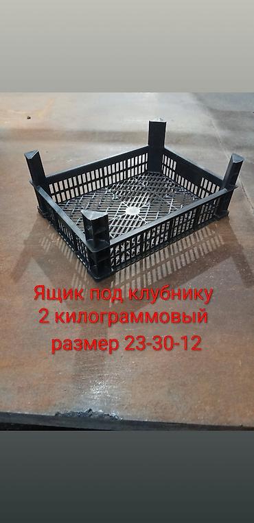 груша бишкек: Пластиковые ящики для фруктов/овощей - Назначение: хранение — 9