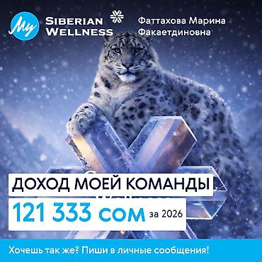 Сетевой маркетинг: Онлайн-работа для сетевиков с Siberian Wellness Что предлагается: - — 4