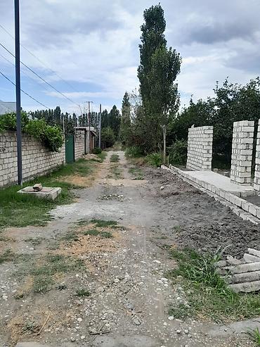 Torpaq sahələrinin satışı: Kənd təsərrüfatı — 1