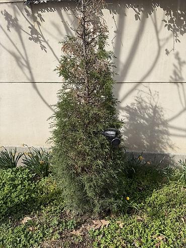 Пластиковые двери: Снос боло турган чон уйдун материалдары сатылат. Жалал Абадда(Манас) — 19