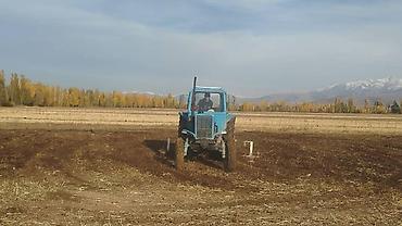 Тракторы МТЗ (Беларус): Модель: 80, Б/у, Трактор с другими агрегатами — 1