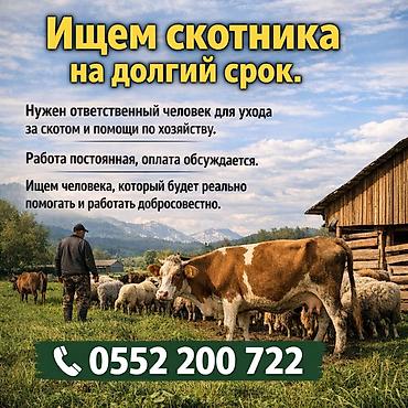 перчатки для сварки: Требуется Скотник — 1