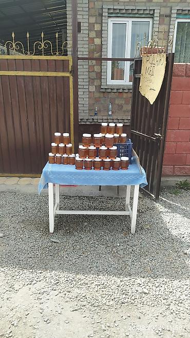 свекольный сок: Продаю Мёд горный, чистый 100% продаю горный мёд чистый 100% — 9