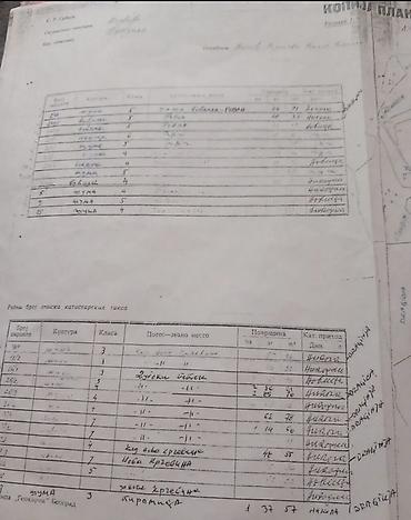 nekretnine oglas: Poljoprivredno zemljište – katastarski plan i izvod 4,3hektara — 2