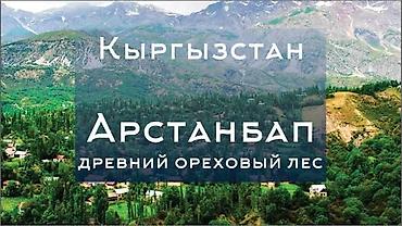 Такси: Легковое авто, Пункт назначения: Аэропорт Манас, Количество мест: 4, Лицензия №: 5 — 2