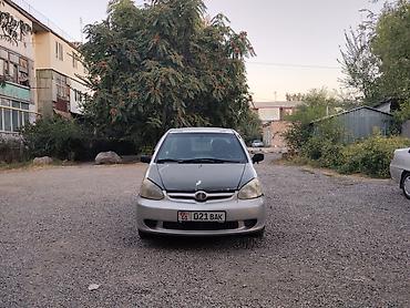 a4 b7: Toyota Echo: 2002 г., Автомат, Бензин, Седан — 7