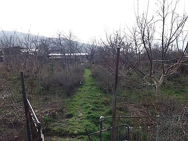 Продажа домов: Дом, 150 м², 6 комнат, Собственник, Косметический ремонт at lalafo.kg — 7 Продажа домов: Дом, 150 м², 6 комнат, Собственник, Косметический ремонт — 7