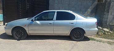 обвесы тойота: Nissan Primera: 1999 г., 2 л, Вариатор, Бензин, Седан — 5