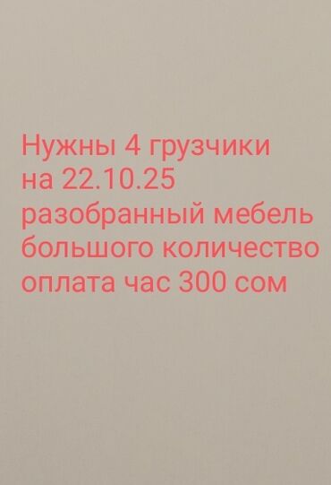 трудовой книжки: Фасад для мебели, Новый, ЛДСП