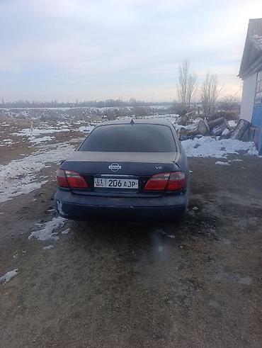 3d коврики бишкек: Nissan Maxima: 2003 г., 3 л, Кол менен иштөөчү, Бензин, Седан — 2
