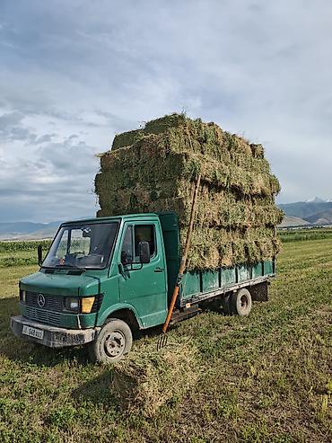 sprinter 2 2: Грузовик, Mercedes-Benz, Стандарт, 5 т, Б/у — 6