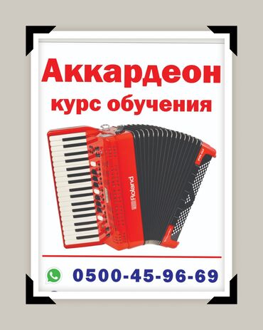 чехол для аккордеона: Аккордеон