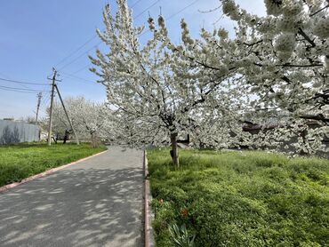 Посуточная аренда комнат: 222 м² — 4