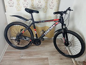 Горные велосипеды: Горный велосипед, Сталь, Б/у — 1