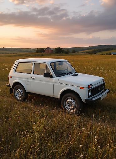 Продажа авто: ВАЗ (ЛАДА) 4x4 Нива: 1989 г., 1.6 л, Механика, Бензин, Внедорожник — 1