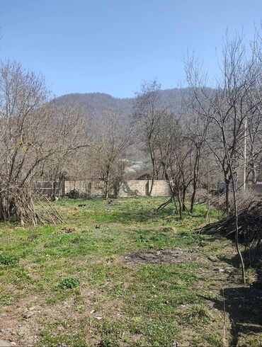 Torpaq sahələrinin satışı: 10 sot, Tikinti, Barter mümkündür, Kupça (Çıxarış) -da lalafo.az — 11 Torpaq sahələrinin satışı: 10 sot, Tikinti, Barter mümkündür, Kupça (Çıxarış) — 11