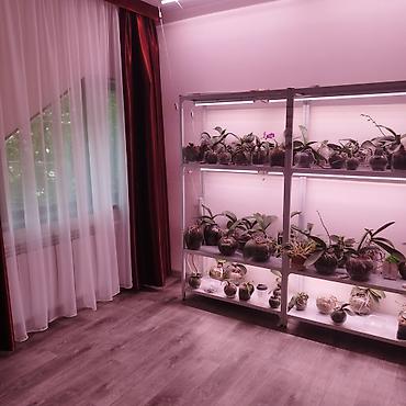Продажа коттеджей и домов: ПРОДАЮ: Тихий, ухоженный, 5-ти комнатный частный дом, с зеленым — 16
