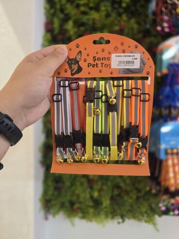 Xaltalar, qayışlar və tasmalar: Pişik və mini itlər üçün boyunbağılar. Taksilə çatdırılma xidmətimiz — 26