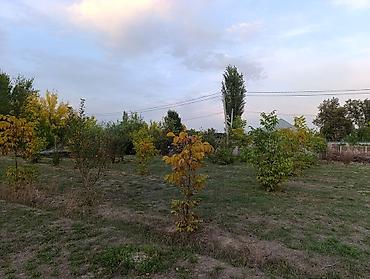 Продажа участков: 6 соток, Для строительства, Красная книга, Договор купли-продажи — 9