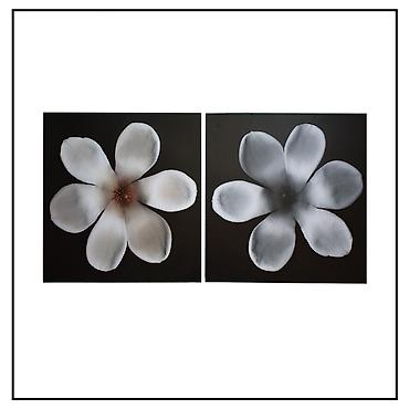 ağ şekil: “Magnolia” tablosu, İsveç - Ölçü: 50x50 sm - Qiymət: 10 AZN Təsvir — 1