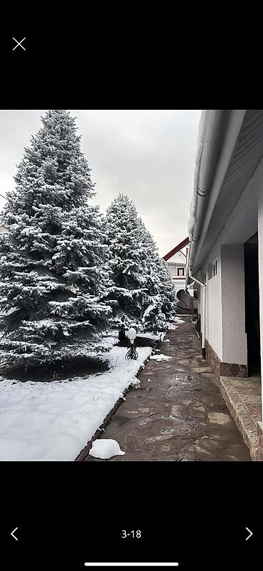 Долгосрочная аренда домов: 400 м², 7 комнат — 5