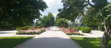 Иссык-Куль 2025: Коттедж, Каприз
ЦО ЦО Каприз, Чолпон-Ата, Охраняемая территория — 14