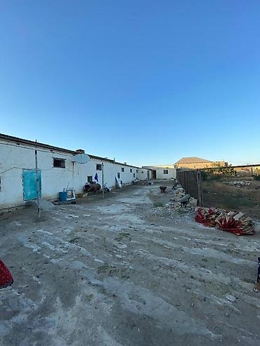 Torpaq sahələrinin satışı: 50 sot, Tikinti, Maklerlər narahat etməsin, Kupça (Çıxarış), Bələdiyyə — 12